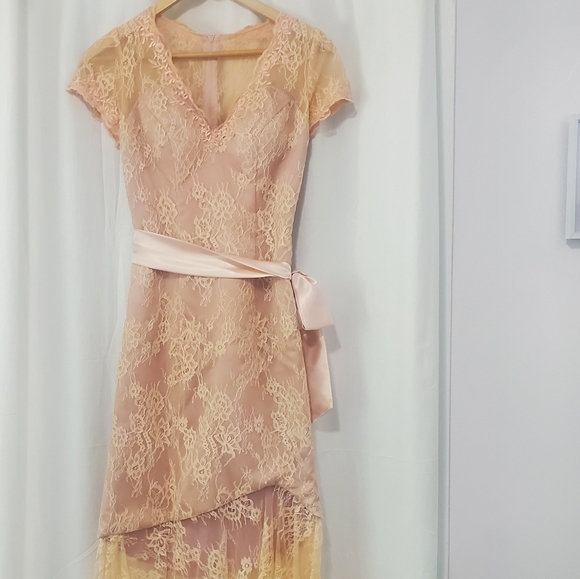 Vintage Lace Dress - Picture 3 of 6